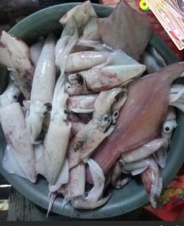 Sariaya Hidden Shore - 3