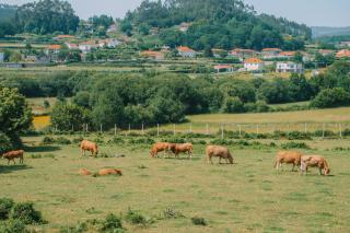 Just Like Home - Casa Antonio em Paredes de Coura - 5
