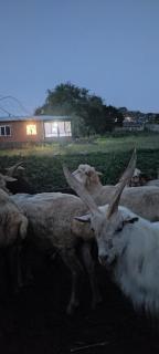Xinaliq Khinalig ELNUR GUEST HOUSE, New hotel - 2