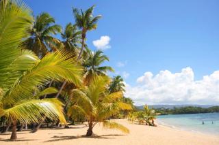 Tropical Villa 4Bedroom 3Baths and Pool Near Beach - 3