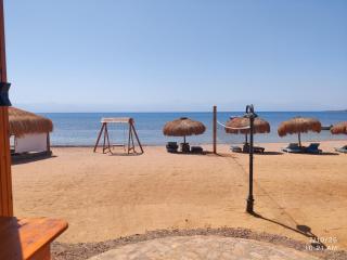 Mermaid camp - 2