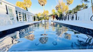 Siesta Key Beach - Sauna - Heated Saltwater Pool - Family & Pet Friendly - Fenced in Back Yard - Beach Gear & Beach Bikes Included -Zachs Private Beach House - 2