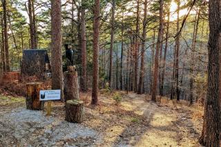 Loblolly Pines Adventure Aframe #1 - 7