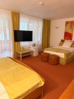 Hotel-Restaurant Siesta Balea - 5