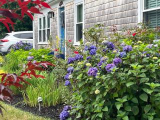 Hyannis Port - Oasis by the Sea - Stroll to 2 Beaches - 6