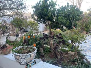 Maison Souad Guest House - 7