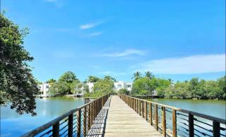 Apartasuite frente al mar - 6