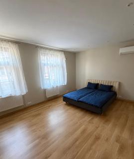 Lacplesa apartment - 6