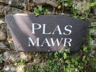 Plas Mawr - 7