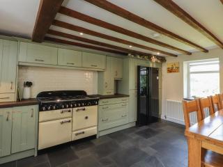 Plas Mawr - 1