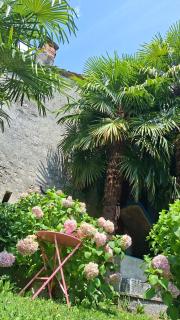 Casa Belgeri - 2
