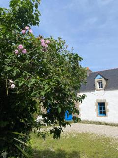 Pays Bigouden Breton Cottage - La maison bleue - 4