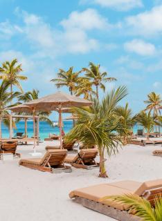 Chogogo Dive & Beach Resort Bonaire - 8