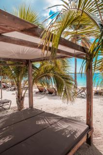 Chogogo Dive & Beach Resort Bonaire - 2