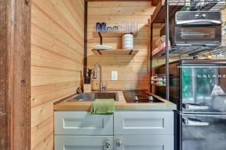 Tiny Home w/ Hot Tub & Mini Highland Cows! - 3