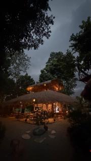 Happy Lemon Tree lodge - 4