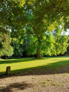 Manoir de KERBOL, demeure familiale au cœur d'un parc arboré - 2