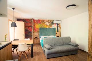 Apartmaji s Savnami - Wellness Gobi - 1