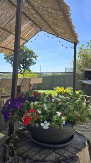 Country House L'Oliveto - 4