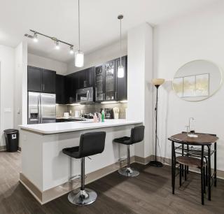 Modern Lux 1 bed 1bath Apt in Richardson CityLine - 5