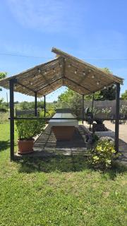 Country House L'Oliveto - 3
