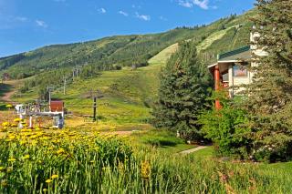 Snow Flower 030 by Park City Lodging - 6