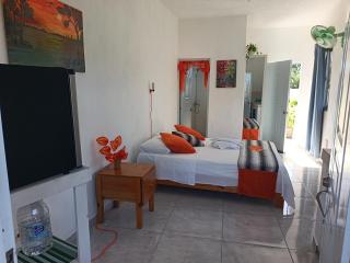 Puravida # 1 - 8