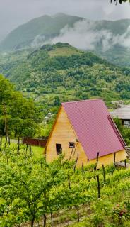 ჰარმონია Harmony Cottage - 0