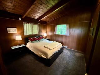 Cabin on the hill Ascutney - 4