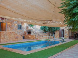 مزرعه وشاليه جبال عجلون - 8