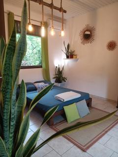 Cozy studio terrace nature near Cayenne - 8