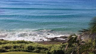 Bluefish - 6