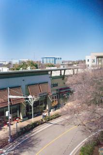 The Treehouse Spacious & Fun 2BR Retreat in the Heart of the Domain - 3