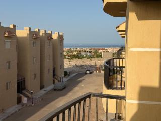 Rooted to be fruited اجانب فقط - 4