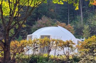Wonju Forest Dome - 1
