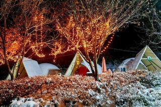 Wonju Forest Dome - 2