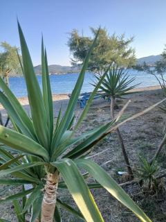 lianas house - Perama - 5