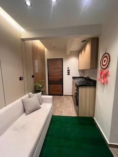Luxury & Cozy Studio Near MSA University - 7