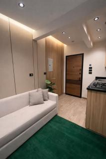 Luxury & Cozy Studio Near MSA University - 1