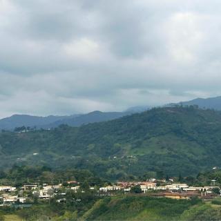Hotel Zona Oro - 6