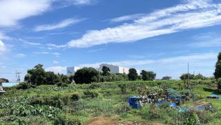 Shonan no Oka no Villa - Vacation STAY 38385v - 1