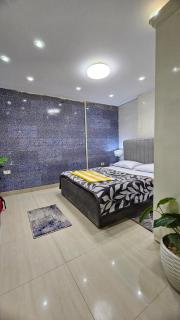 Impyria II Stylish Studio in Zamalek, Cairo - 7