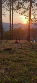 The Whistling Pine Homestay With Natural Swimming Pool - Lansdowne - 6
