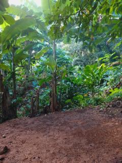 Camping Nature Bora - 3