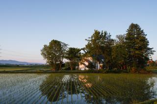 ガストロノミー 北海道旭川 田園の中のオーベルジュ Maison Tsugawa Hokkaido - 6