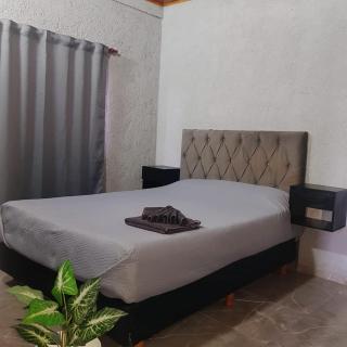 Casa Sofía - 8