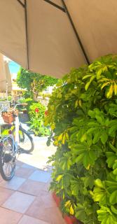 Vicky's Guesthouse - 8