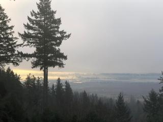 Panorama Retreat - Ocean, Sunset, City Views - 3