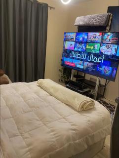 Luxurious Sound System Room Near AUC - 1