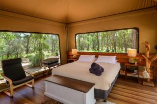 Wallaroo Outback Retreat - Glamping Tents Carnarvon Gorge - 9